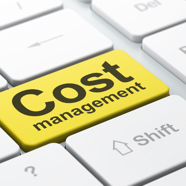 Cost leadership